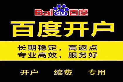 某电商平台的SEM服务全解析